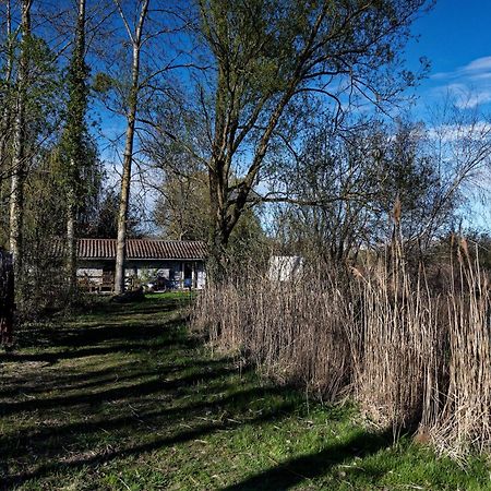Espace Nature Studio Independant Proche Du Parc Des Oiseaux Sainte-Olive Exteriér fotografie