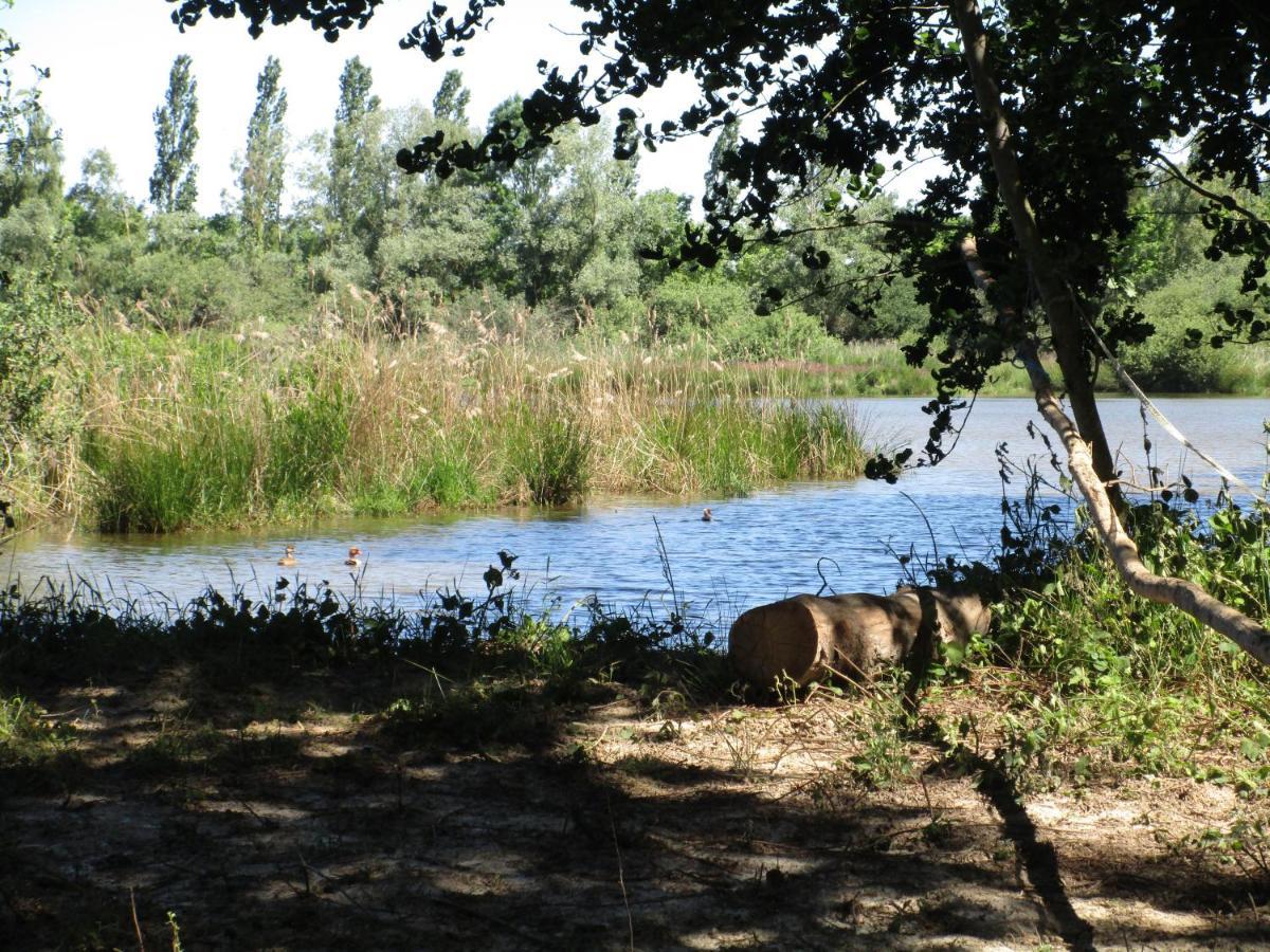 Espace Nature Studio Independant Proche Du Parc Des Oiseaux Sainte-Olive Exteriér fotografie