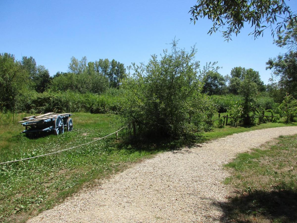 Espace Nature Studio Independant Proche Du Parc Des Oiseaux Sainte-Olive Exteriér fotografie