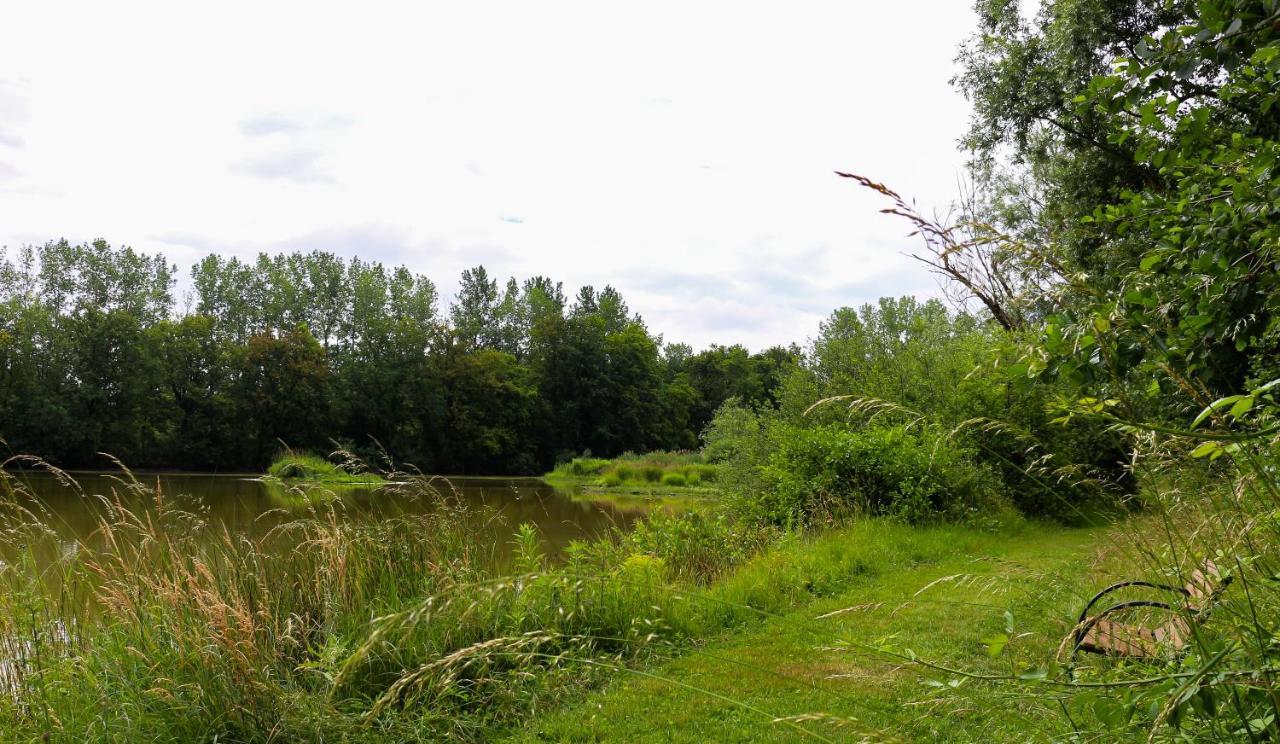 Espace Nature Studio Independant Proche Du Parc Des Oiseaux Sainte-Olive Exteriér fotografie
