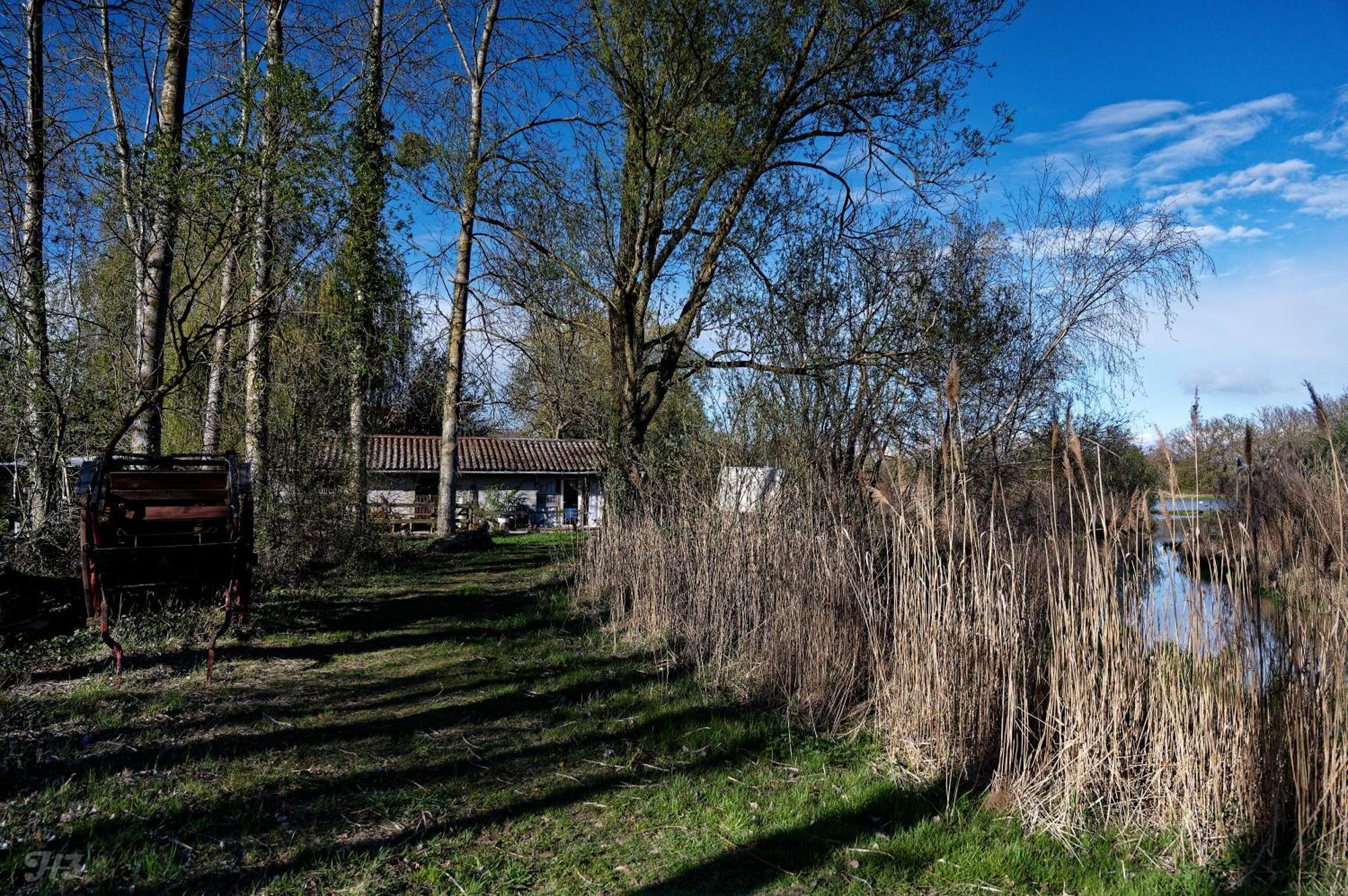 Espace Nature Studio Independant Proche Du Parc Des Oiseaux Sainte-Olive Exteriér fotografie