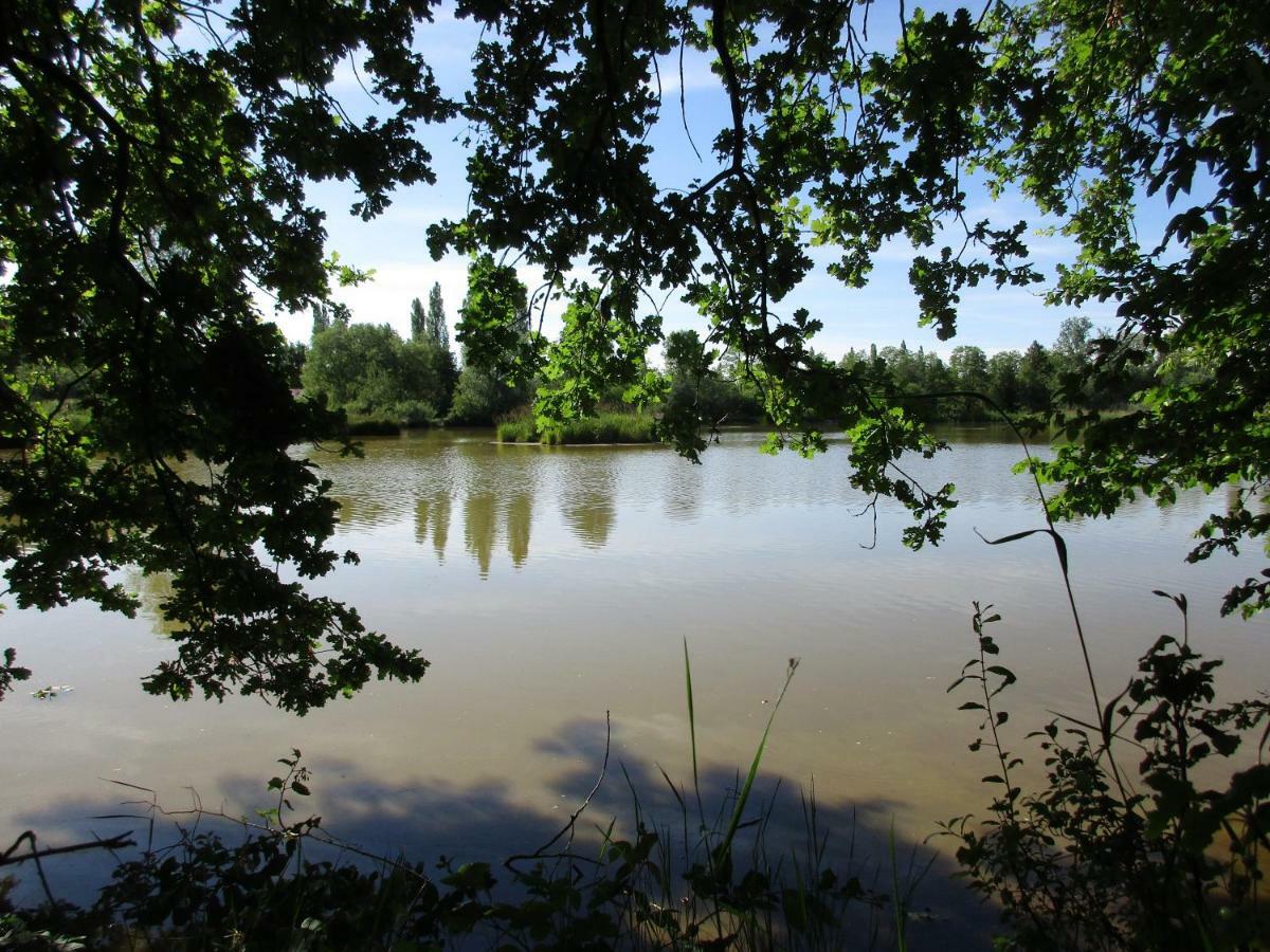 Espace Nature Studio Independant Proche Du Parc Des Oiseaux Sainte-Olive Exteriér fotografie
